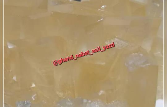 نبات پرده